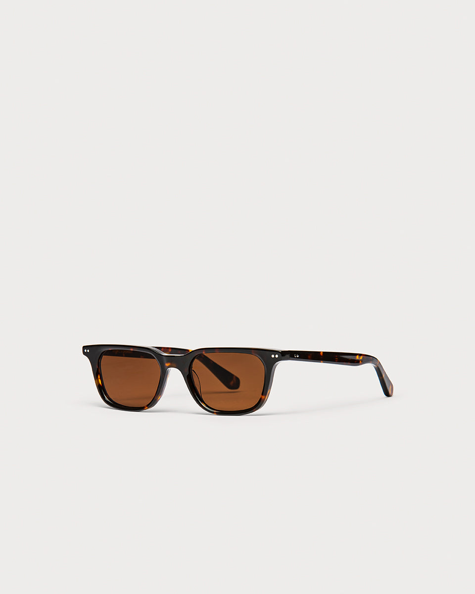 Solé Tortoise