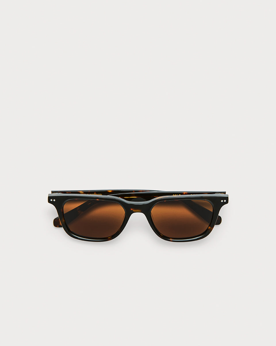 Solé Tortoise